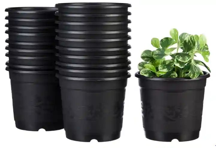  Amazon Brand - Solimo 100% Virgin Plastic Round Nursery Planter Pot | 6 inch (Set of 20)